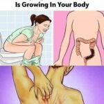 A month before a stroke, your body warns you: 10 signs not to ignore…