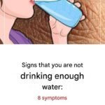 WARNING! These tablets are not recommended because they may cause blood clots and…