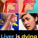 As a BRAIN Doctor, I’m SHOCKED THIS Vitamin Raises Stroke Risk Overnight Senior Health