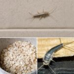After 70 Years, This Common Mistake Is Ruining Your Circuit