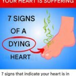 Doctors reveal that eating beets causes… See the first comment.