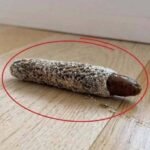 7 powerful blood-thinning foods you need to know about