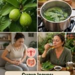 Tea tree essential oil: what are its real dangers?