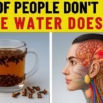 Clove Water at Night Triggers Irreversible Changes in Your Body — Especially After 60