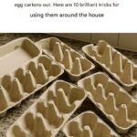 Stop throwing away your old pill box. Here are 12 ways to re…
