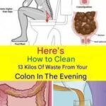 One vitamin that opens blood vessels and improves circulation