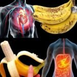 Did you know that having visible veins means you are… See more