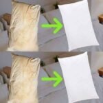 ALERT! 7 Strange Signs Your Kidneys Are Crying for Help