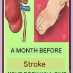 One vitamin that opens blood vessels and improves circulation