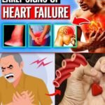 Just 1 oregano leaf per day and you won’t suffer from any more…See more