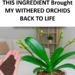 The Real Causes of Constant Phlegm and Mucus in Throat and How to Get Rid of It