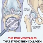 The 5 Most Laxative Foods in the World: Natural Remedies to Combat Constipation