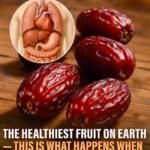 What Your Tomato Is Trying to Tell You