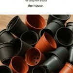 Most people throw these away. 10 smart ways to reuse old eyeglass cases