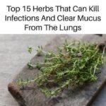 How to Get Rid of Phlegm and Mucus in Chest and Throat Naturally