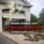 Neat hack