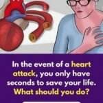 The Real Causes of Constant Phlegm and Mucus in Throat and How to Get Rid of It