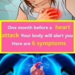 What Happens to Your Body When You Eat Purslane Every Day Especially After 60