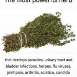 8 Habits You Should Stop This Year If You Are Taking Amlodipine – And Why