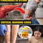Why Daily Showers After 65 May Do More Harm Than Good