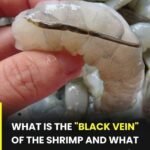 Banish Flies, Mosquitoes, and Cockroaches with These Simple Natural Remedies