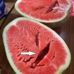A single ingredient to combat bone pain, diabetes, anxiety, depression, and constipation!
