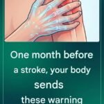 THE MOST POTENT HERB THAT DESTROYS PARASITES, URINARY TRACT …