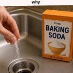 Bleach stains on your clothes? No need to throw them away: here’s the solution