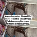 Doctors Warn: If You Often Sleep on Your Right Side…