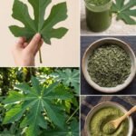 OKRA BENEFITS – 20 Powerful Reasons to Add Okra to Your Diet Today!