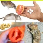 Eight pills you shouldn’t take because they damage your kidneys