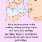 5 Critical Health Signals of a Mini Stroke in Seniors That Shouldn’t Be Ignored