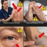 WARNING! THESE TABLETS CAN CAUSE BLOOD CLOTS, BLOOD THROMBOTS, AND HEART ATTACKS