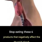 Eat this every morning to cleanse your intestines and promote natural bowel movements.