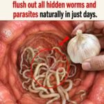 New method: colonoscopy will no longer be an invasive examination. (1/2)