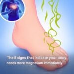 These 10 Common Medications Could Quietly Harm Your Kidneys and Increase Protein in Your Urine