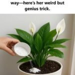 I Didn’t Believe This Floor Trick Until I Tried It… Now I’ll Never Go Back