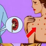 Eating Just One Bite is Already Harmful, But Many Still Eat It Without Worry