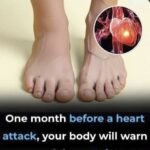 One vitamin that opens blood vessels and improves circulation