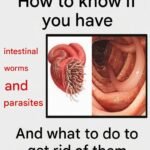 These are the consequences of sleeping with a… See more