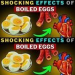 5 foods rich in estrogen