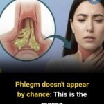 NEVER Use Magnesium If You Are Taking Any of the Following Médications