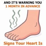 12 nasty things you do in old age that everyone notices, but no one dares to tell you…