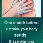 A month before a heart attack, your body will warn you – here are 6 signs